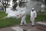 Dengue en Tucumán: el Ministerio de Salud confirmó tres casos autóctonos