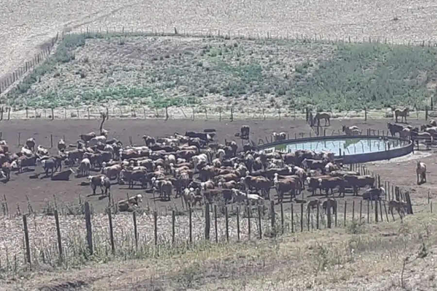 El Cadillal: extinguieron el fuego en el cerro Medina