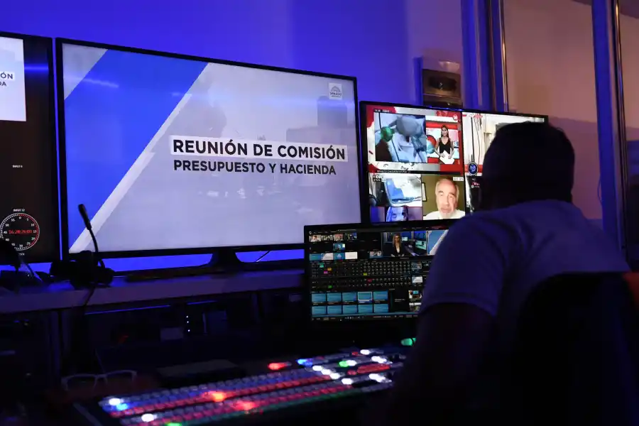 EXPOSICIÓN VIRTUAL. Foto: Twitter @SenadoArgentina