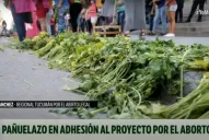 Perejilazo: distintas organizaciones se movilizaron por el aborto legal