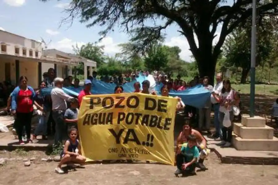 TACO RODEO. Campaña de “Ave Fénix” y estudiantes por una planta.