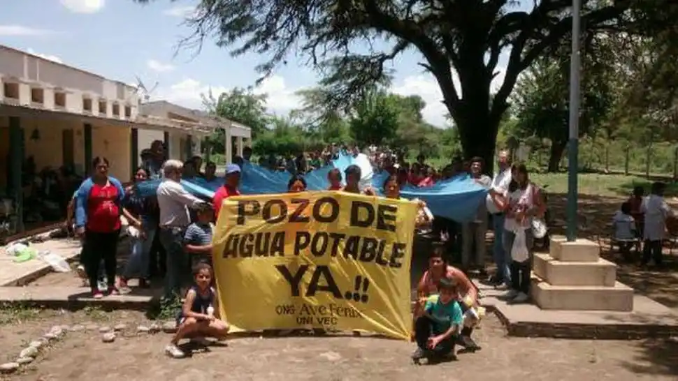 TACO RODEO. Campaña de “Ave Fénix” y estudiantes por una planta.