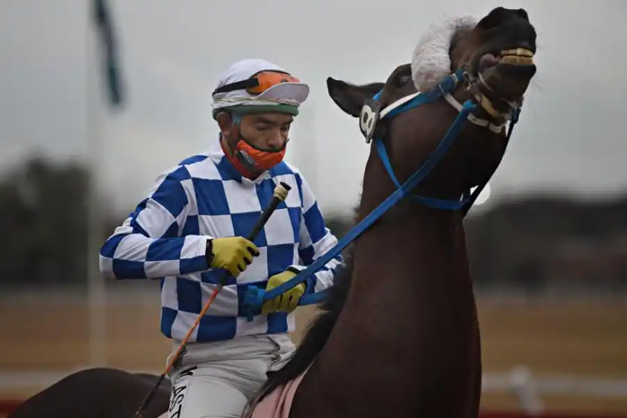 ESTÁ LISTO. El jinete “Willy” Lastra montará a Macellum en el clásico que se correrá sobre 1.600 metros.