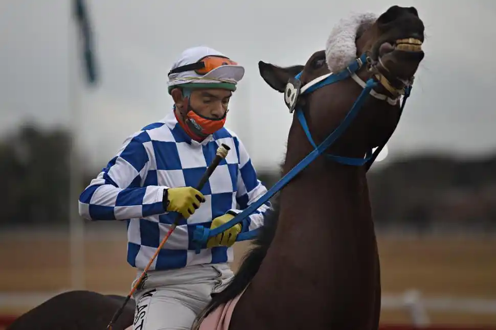 ESTÁ LISTO. El jinete “Willy” Lastra montará a Macellum en el clásico que se correrá sobre 1.600 metros.