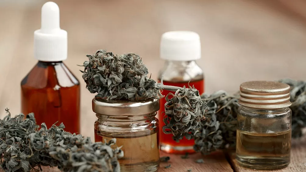 La ley de uso medicinal de cannabis quedó oficializada