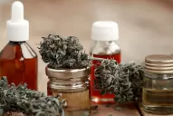 Oficializaron la nueva reglamentación para facilitar el acceso al cannabis medicinal