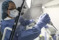 Confirman otras 12 muertes por coronavirus en Tucumán