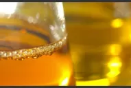 Biodiesel: en septiembre se registró 1,1 millón tonelada, el nivel más bajo en una década