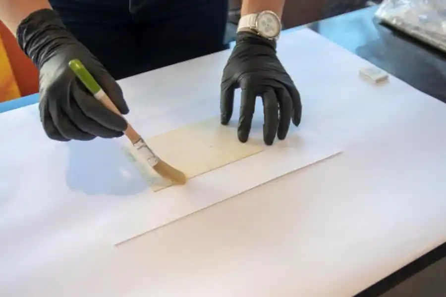  fotos gentileza Cecilia Gallardo 