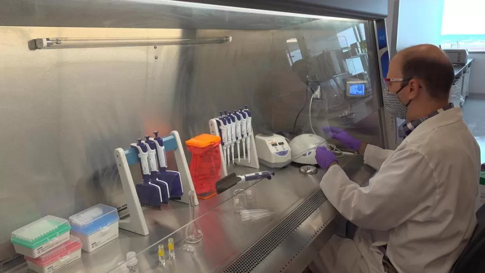 LABORATORIO. Un técnico de Pfizer trabaja en la vacuna experimental. reuters