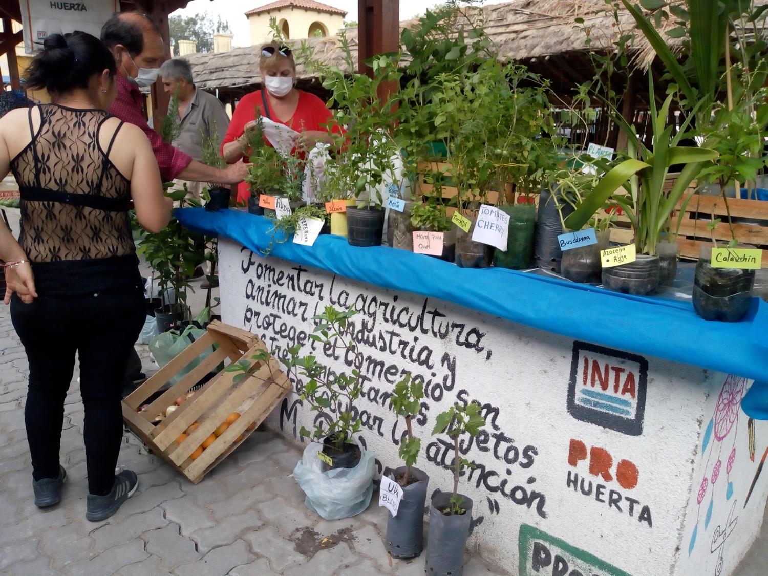 FERIA DE SIMOCA. Un puesto de jardinería. Foto: Prensa Municipal