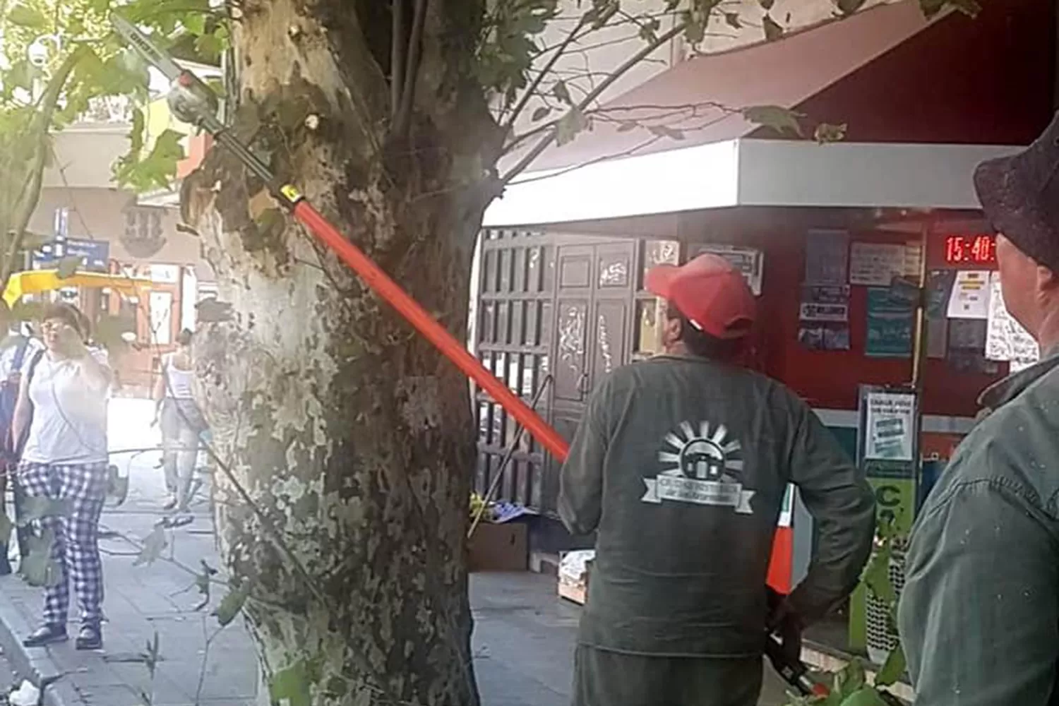 Trabajos de poda: se lleva adelante un operativo municipal en el boulevard Bernabé Aráoz