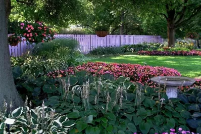 Un jardín que resista la sequía