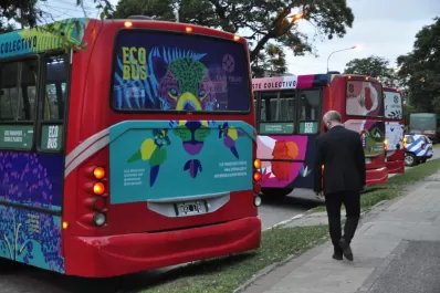 Ecobus: así son los recorridos de las líneas ecológicas en Tafí Viejo