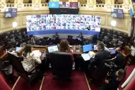 Aborto legal: ¿qué dice el proyecto sobre la posibilidad de acceder a la IVE luego de la semana 14?