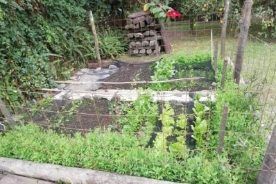 El boom de la huerta en casa