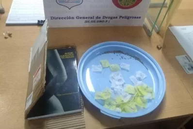 Secuestran casi 200 semillas de marihuana que habían llegado de España en un libro y una carta