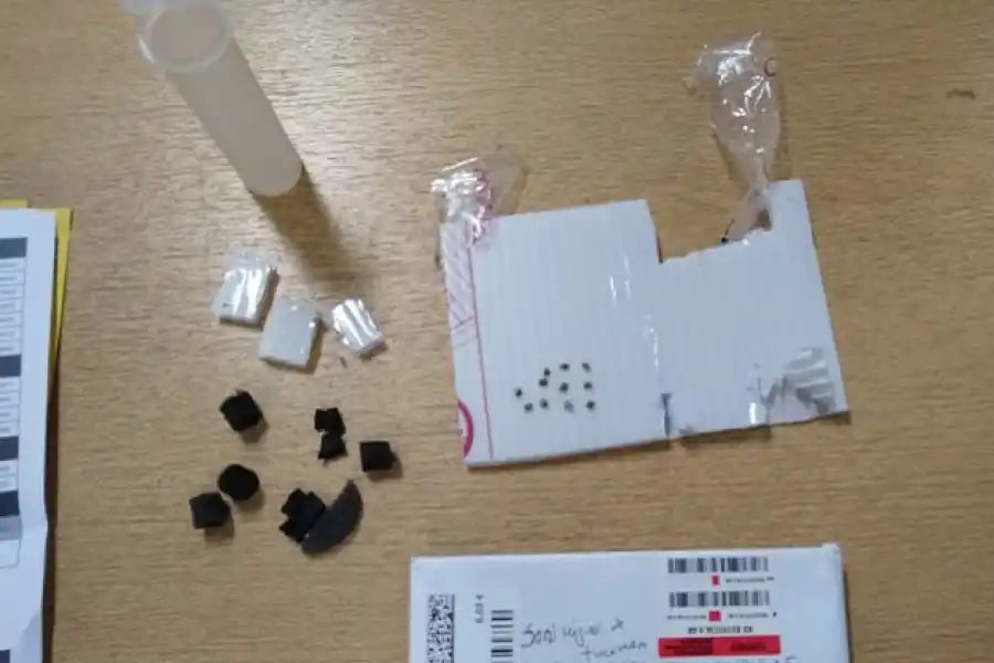 Secuestran casi 200 semillas de marihuana que habían llegado de España en un libro y una carta