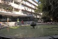 Lanzaron una votación para elegir al Ave Provincial