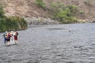 Se estrelló un helicóptero y murió el banquero Jorge Brito en Salta