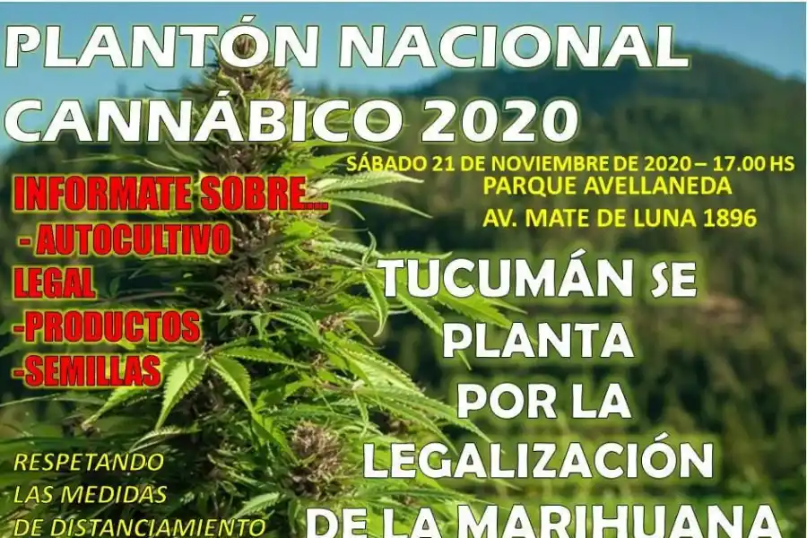 Tucumán se prepara para participar del plantón cannábico 2020 