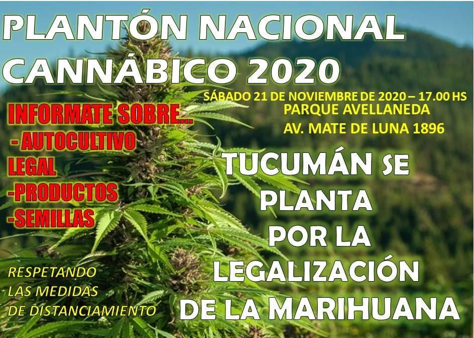 Tucumán se prepara para participar del plantón cannábico 2020 