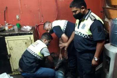 Intentaba robar en el galpón de una línea de colectivos y fue sorprendido ‘in fraganti’ por la Policía