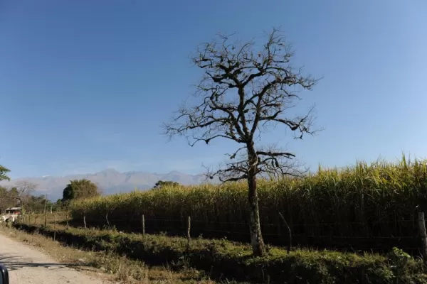 Reporte Rural: el desafío de producir más y cuidar el ambiente