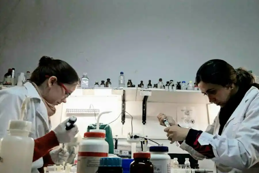 ENSAYOS. Dos becarias prueban propiedades biológicas.