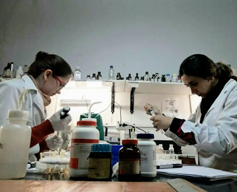 ENSAYOS. Dos becarias prueban propiedades biológicas.