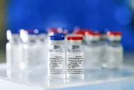 La vacuna rusa Sputnik V tendrá un costo inferior a 20 dólares por persona