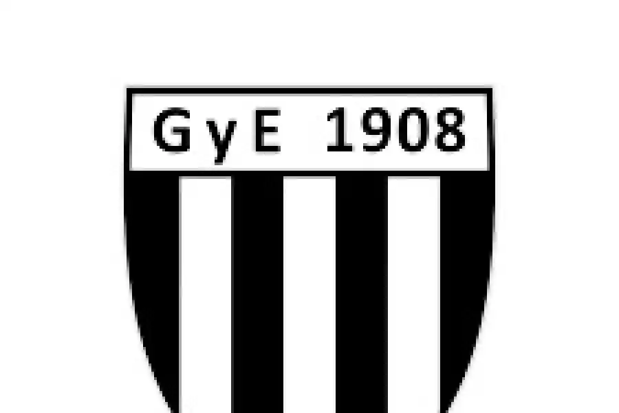 El duro camino que conduce a la Liga Profesional