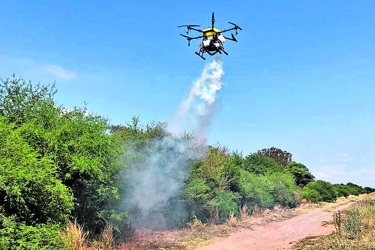 Tecnología de punta: el Senasa considera el uso de drones para combatir plagas sin riesgo