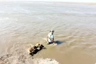 Quién es El Zorro, el héroe anónimo que encontró el cuerpo de un pescador desaparecido