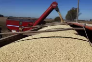 La devolución de las retenciones a la soja fue publicada en el Boletín Oficial