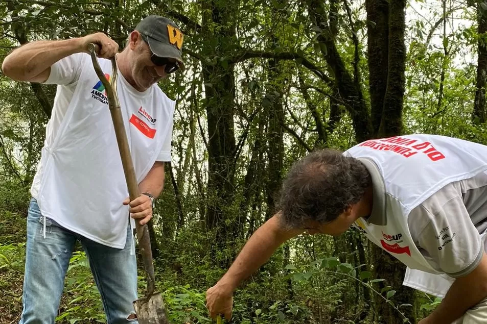 Una caricia al pie del cerro: miembros de una fundación reforestan en San Javier