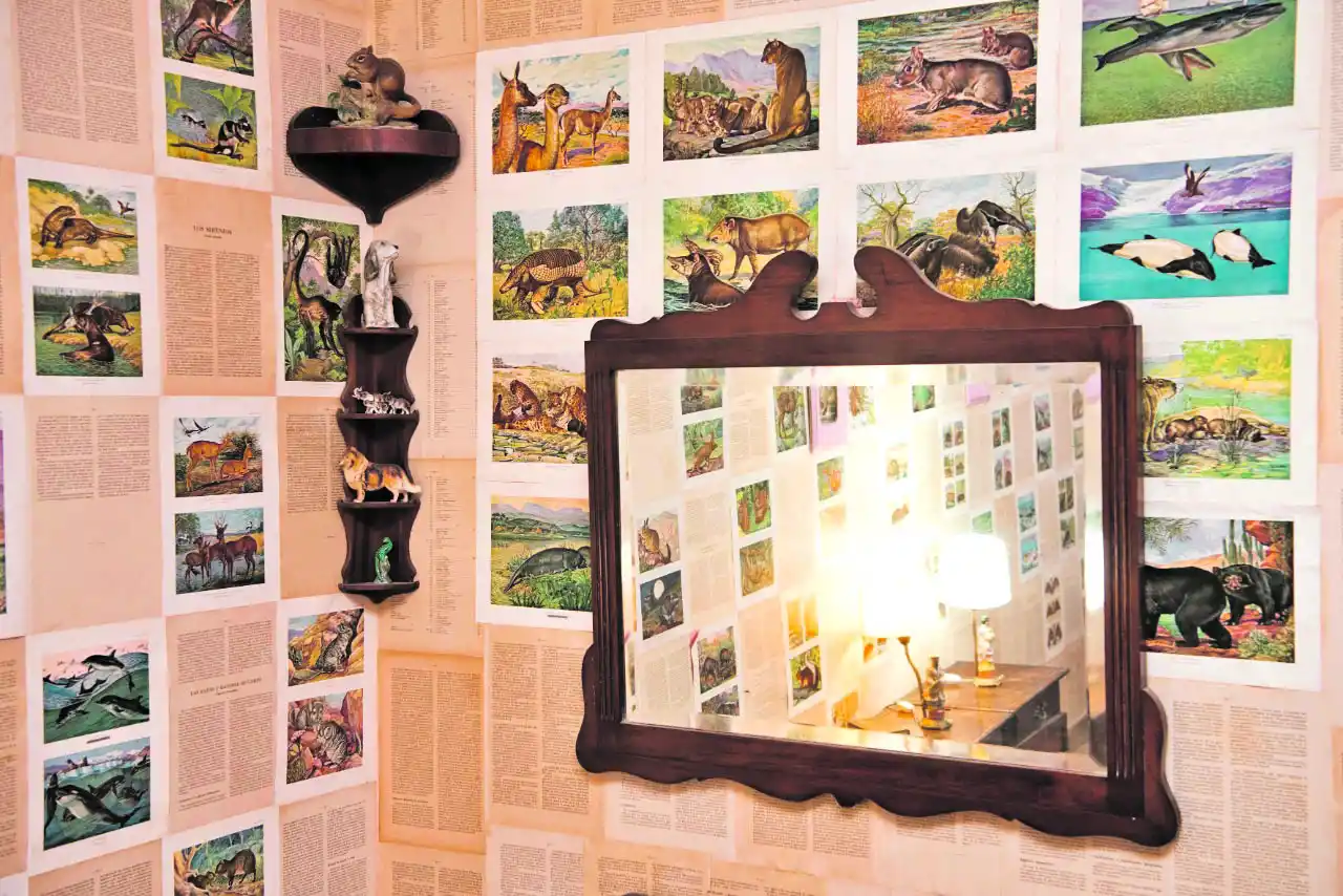 ANIMALES. Una de las piezas está ambientada con dibujos y datos de mamíferos.