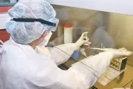 Otras tres personas murieron por coronavirus en Tucumán
