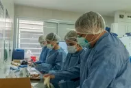 Tucumán se acerca a las 1.500 muertes por covid-19