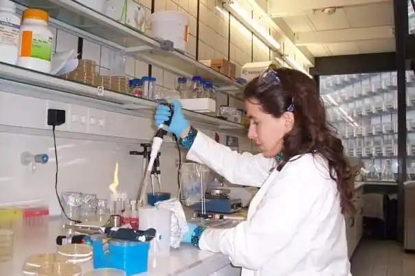 LABORATORIO. Determinando las habilidades de las bacterias.