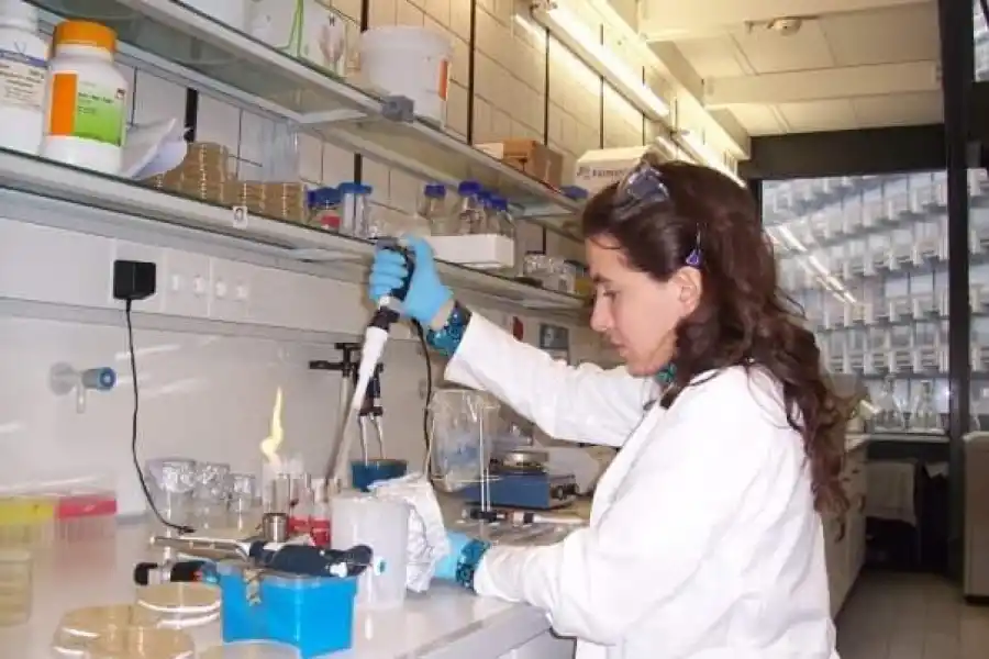 LABORATORIO. Determinando las habilidades de las bacterias.