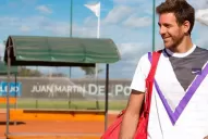 Del Potro se someterá a un tratamiento con células madres en Brasil