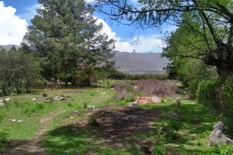CALLEJÓN VERDE. En esta área de la zona analizan acciones preventivas.  