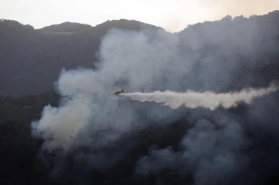 Convocan a un foro internacional sobre prevención de incendios forestales
