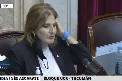 Ascárate: “Soy de una provincia provida y voy a respetar los valores del pueblo tucumano”