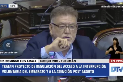 Amaya: espero que Dios ilumine esta Cámara, y que no sea ley