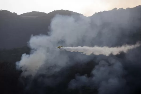 Convocan a un foro internacional sobre prevención de incendios forestales
