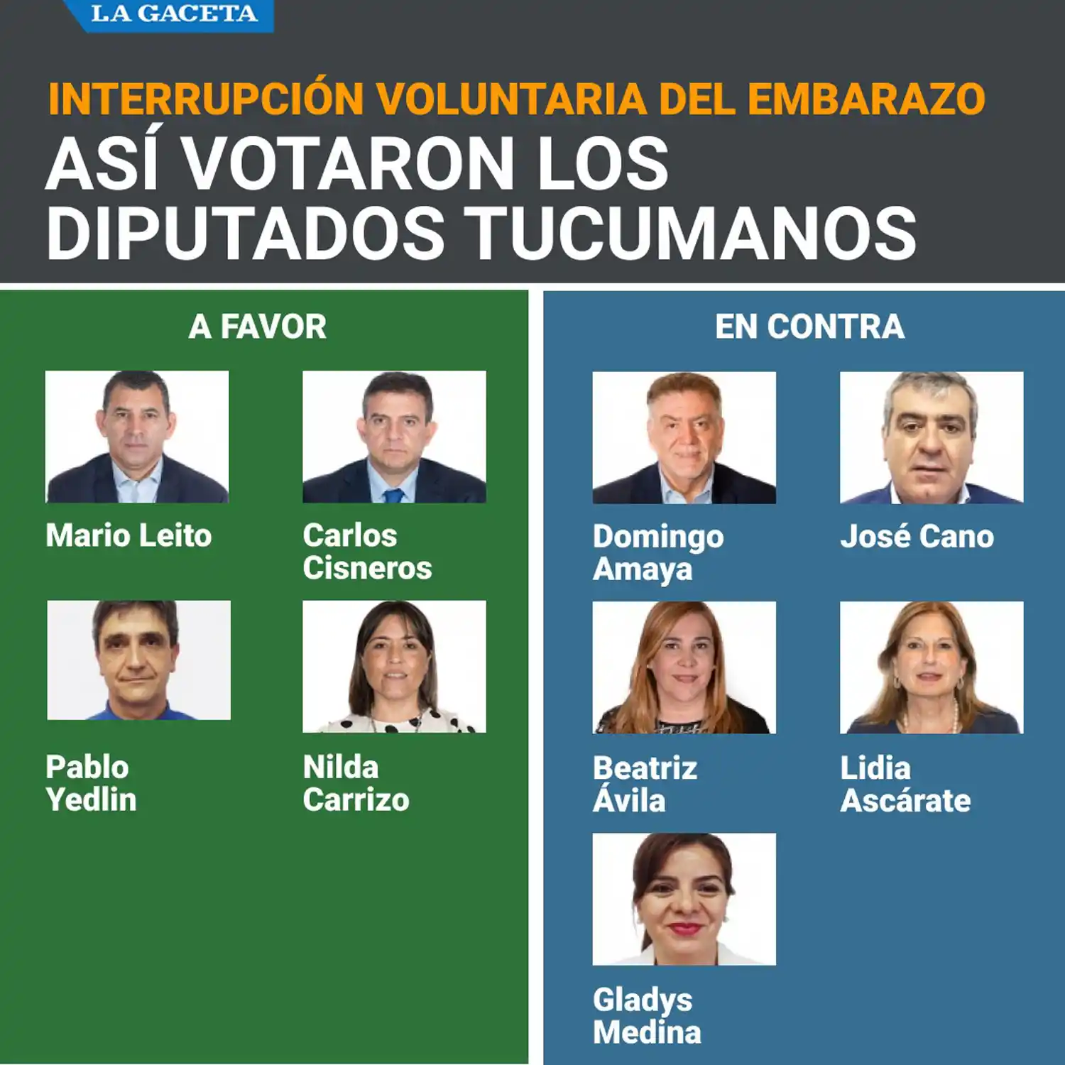 Así votaron los diputados tucumanos