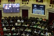 Sesión en Diputados: tres sí y tres no, entre los tucumanos que hablaron