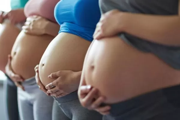 Diputados aprobó la Atención y el Cuidado Integral de la Salud durante el Embarazo